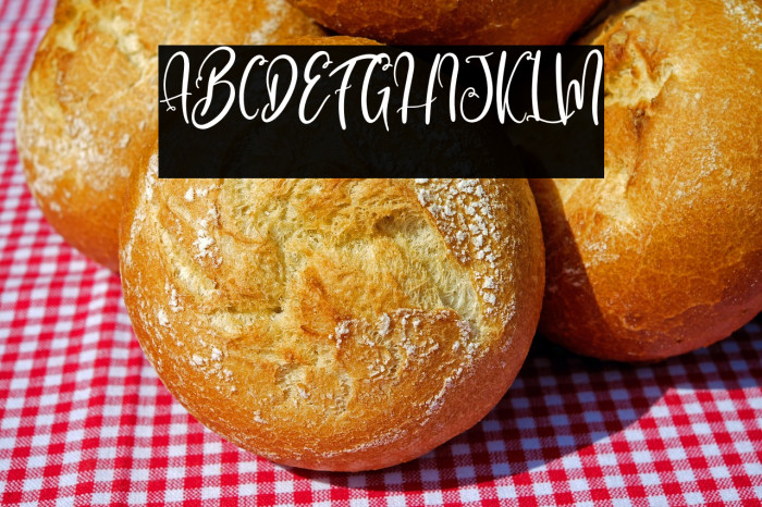 Alcott Galliana Example 2