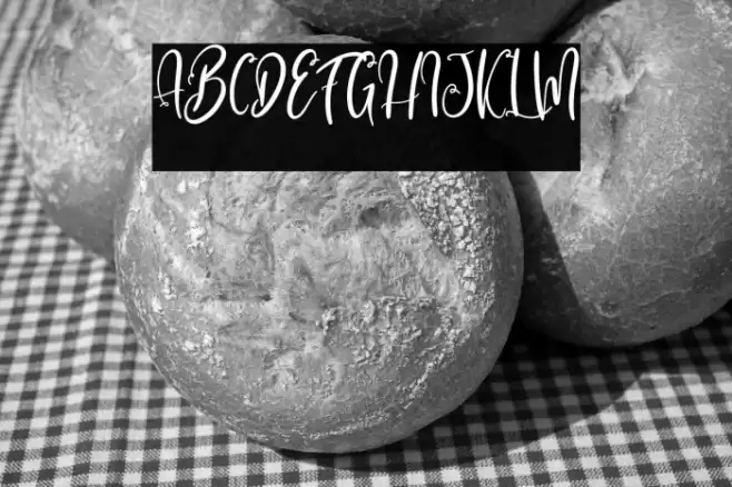 Alcott Galliana Font examples