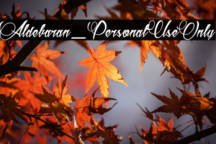 Aldebaran_PersonalUseOnly Example 2