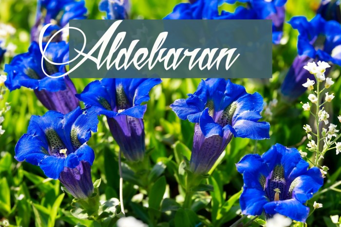 Aldebaran Font examples