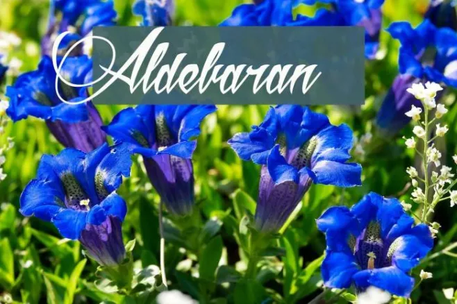 Aldebaran Example 1