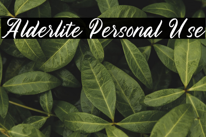 Alderlite Personal Use Example 1
