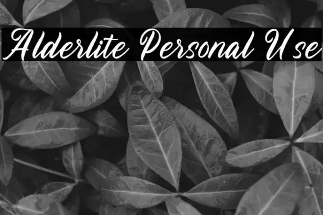 Alderlite Personal Use Caratteri examples