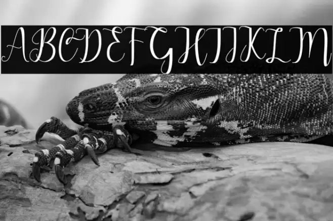 Alderta Font examples