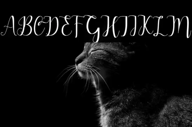 Alderta Font examples