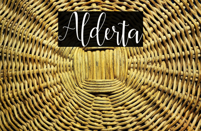 Alderta Example 1