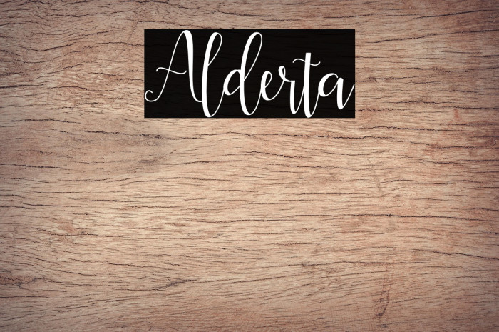 Alderta Example 2