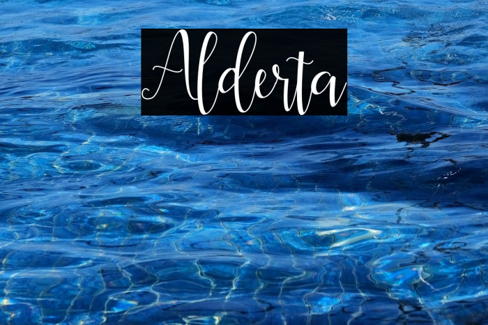 Alderta Example 3