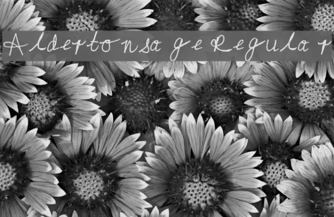 Aldertonsage Regular Font examples