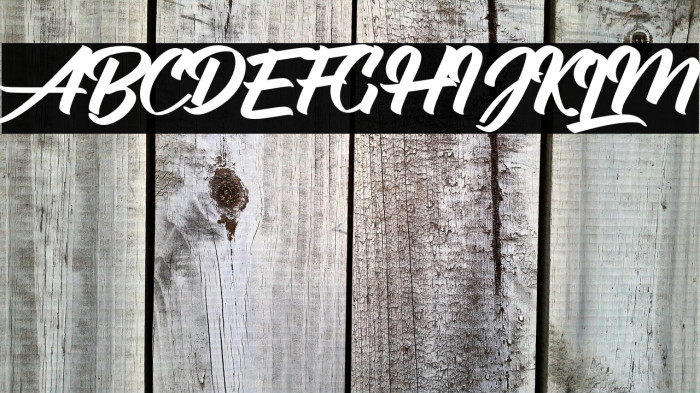 AldhyaksaPersonalUse Example 3