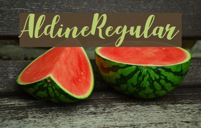Aldine-Regular Font examples