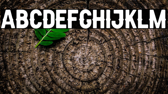 AldivaroRoundedDemo-Rounded Example 3