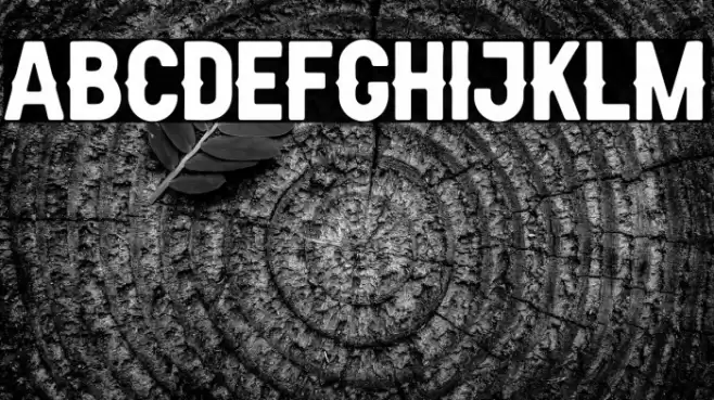 AldivaroRoundedDemo-Rounded Font examples