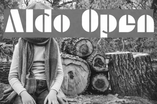 Aldo Open Font examples