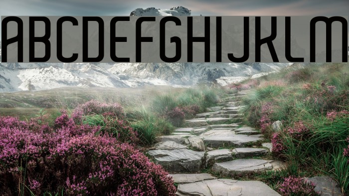 Aldo SemiBold Font examples