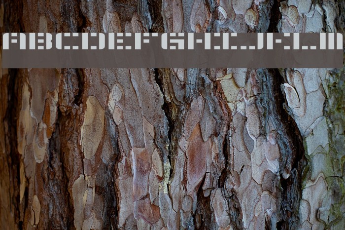 Aldo's Moon Font examples