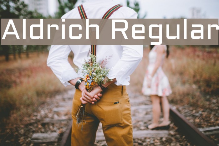 Aldrich Regular Font examples