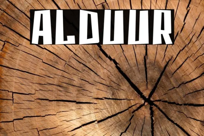 Alduur Example 2