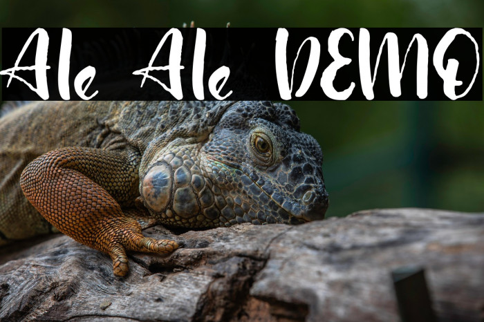 Ale Ale DEMO Example 3