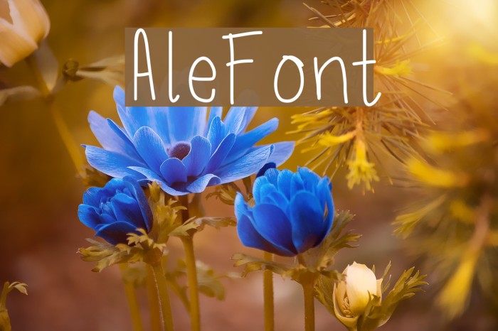 AleFont Font examples