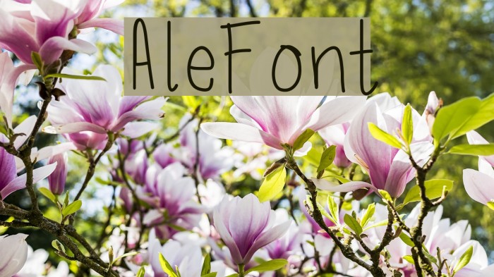 AleFont Font examples