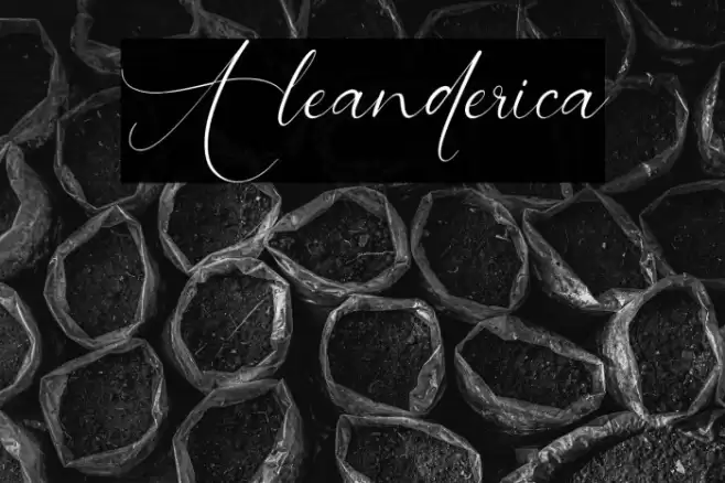 Aleanderica Font examples