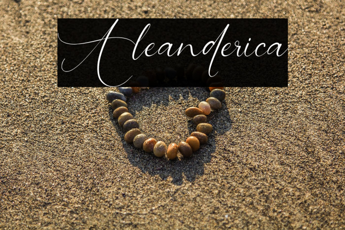 Aleanderica Example 2