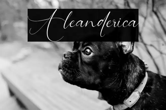Aleanderica Font examples