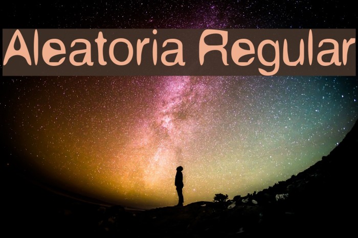 Aleatoria Regular Font examples