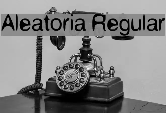 Aleatoria Regular フォント examples