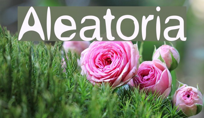Aleatoria Font examples