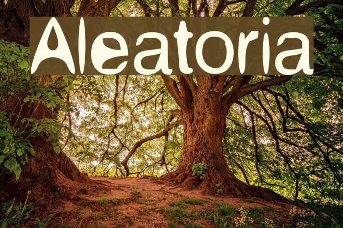 Aleatoria Font examples