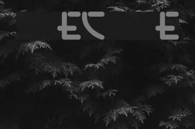 Alecto Demo Schriftart examples