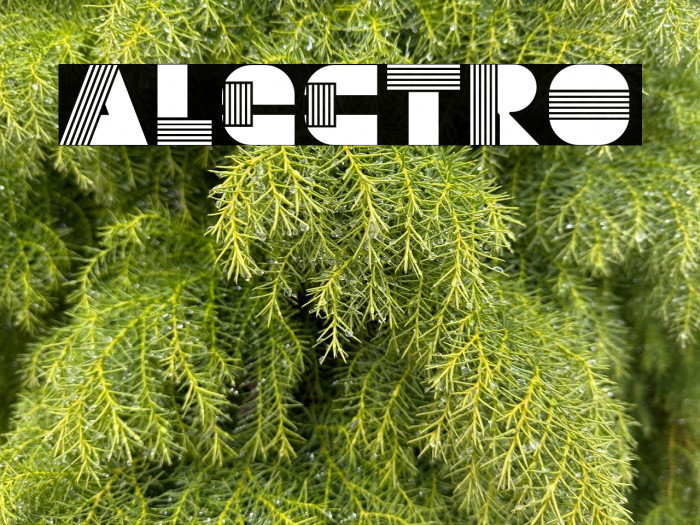 Alectro Example 1