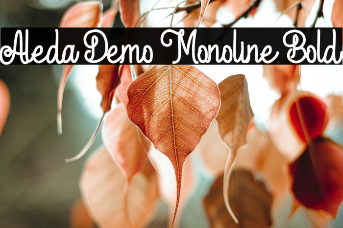 Aleda Demo Monoline Bold Example 1