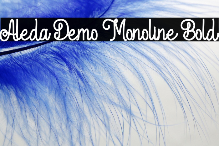Aleda Demo Monoline Bold Example 2