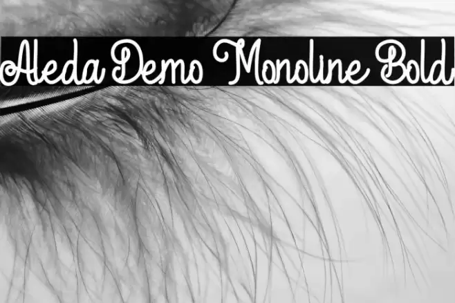 Aleda Demo Monoline Bold Font examples