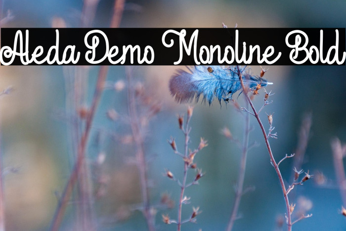 Aleda Demo Monoline Bold Example 3
