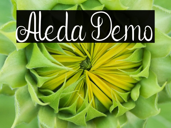 Aleda Demo Example 1