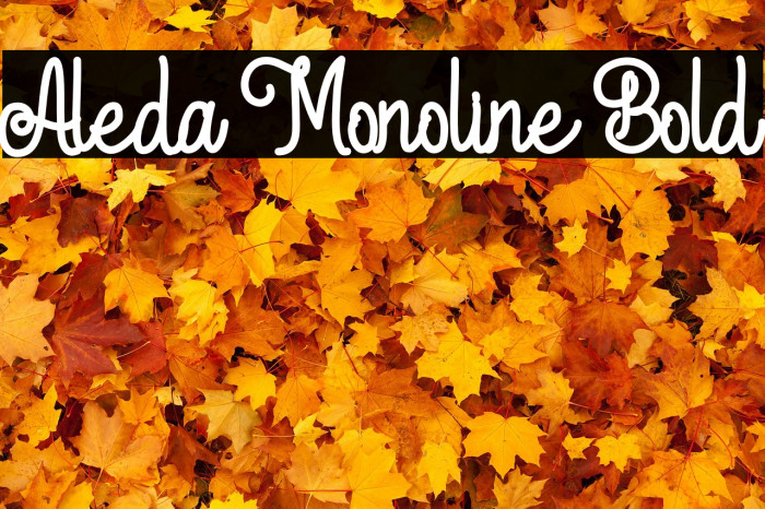 Aleda Monoline Bold Font examples