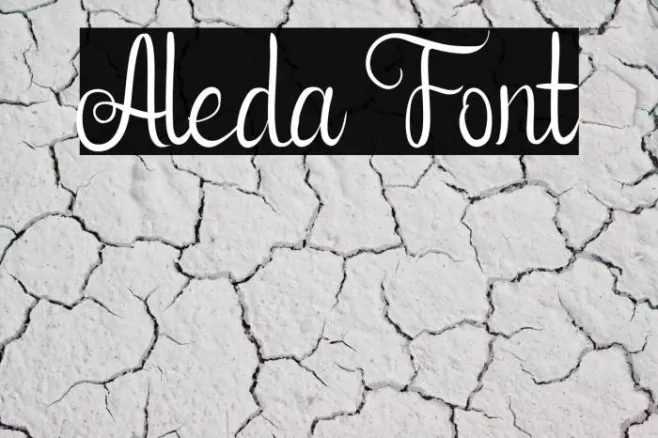 Aleda Example 1