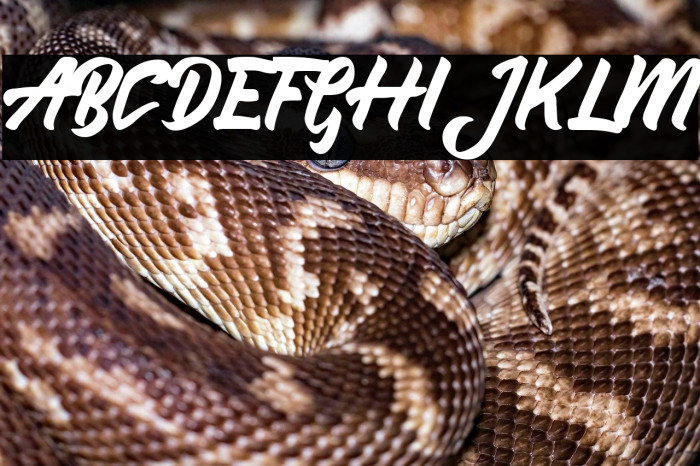 Aleena (demo) Example 3