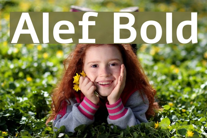 Alef Bold फ़ॉन्ट examples