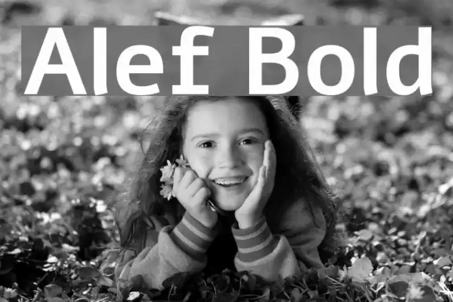 Alef Bold Font examples