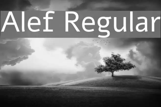 Alef Regular Font examples