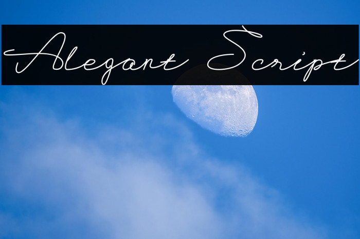 Alegant Script Example 2