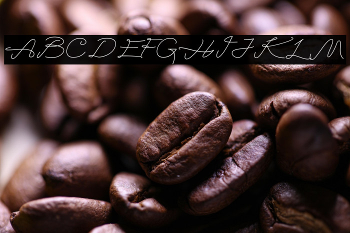 AlegantScriptRegular Example 3