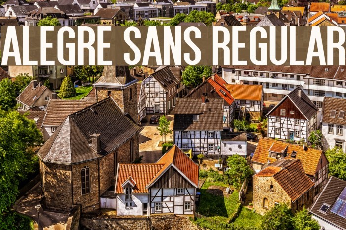 Alegre Sans Regular Font examples