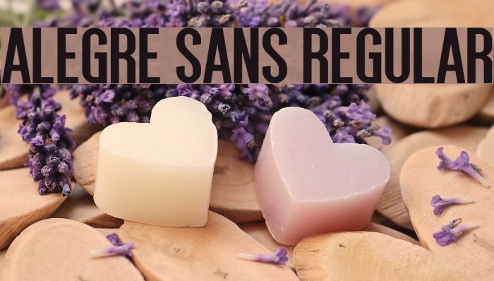 Alegre Sans Regular Font examples