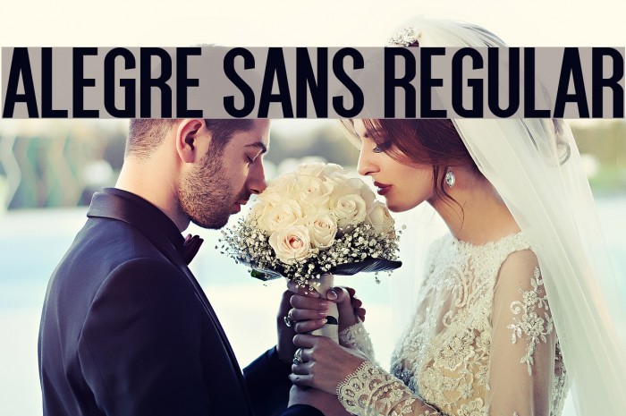 Alegre Sans Regular Font examples